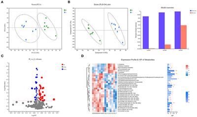 Metabolite Profile of Sheep Serum With High or Low Average Daily Gain